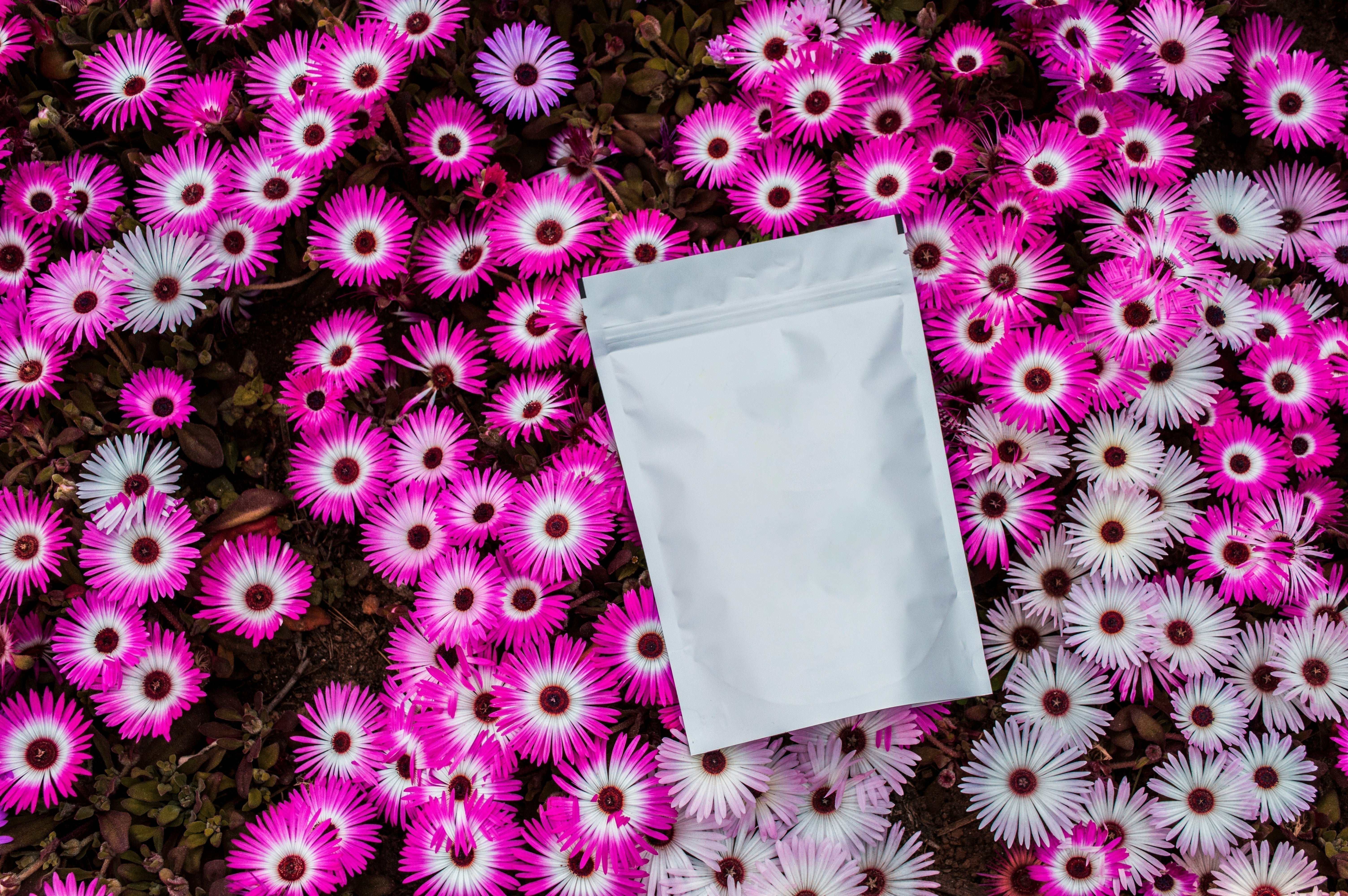 3 Best Ways to Choose the Perfect Packaging for Supplements